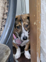 /album/10-11-2025/afbeelding-van-whatsapp-op-2025-09-29-om-15-33-15-300c2047-jpg/